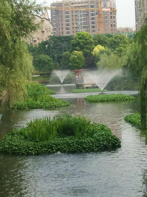 沉水式鼓草莓视频污视频-河道治理