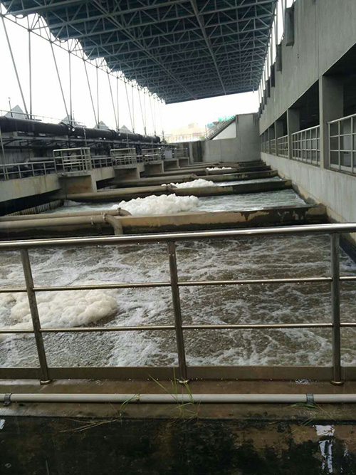 廈門筼簹草莓视频下载大全廠2