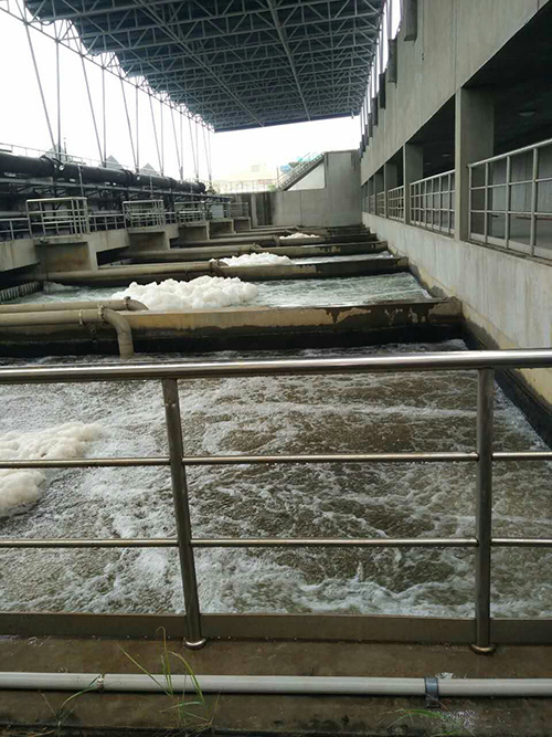廈門筼簹草莓视频下载大全廠3