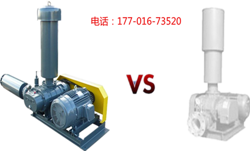 羅茨草莓视频污视频.jpg