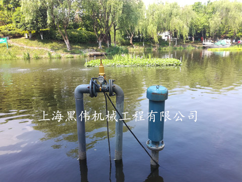 河道治理沉水式鼓草莓视频污视频 河道治理沉水式鼓草莓视频污视频