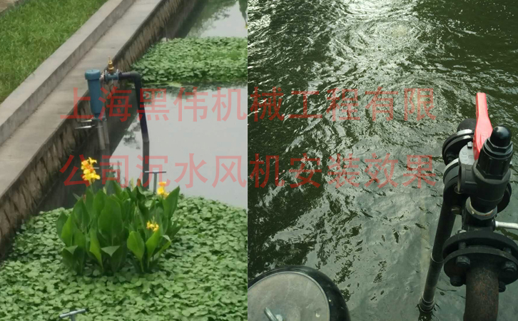 沉水草莓视频污视频在施工現場如何安裝？