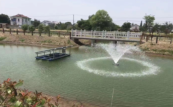 提升漁塘生態環境：羅茨草莓视频污视频魚塘安裝指南及價格谘詢
